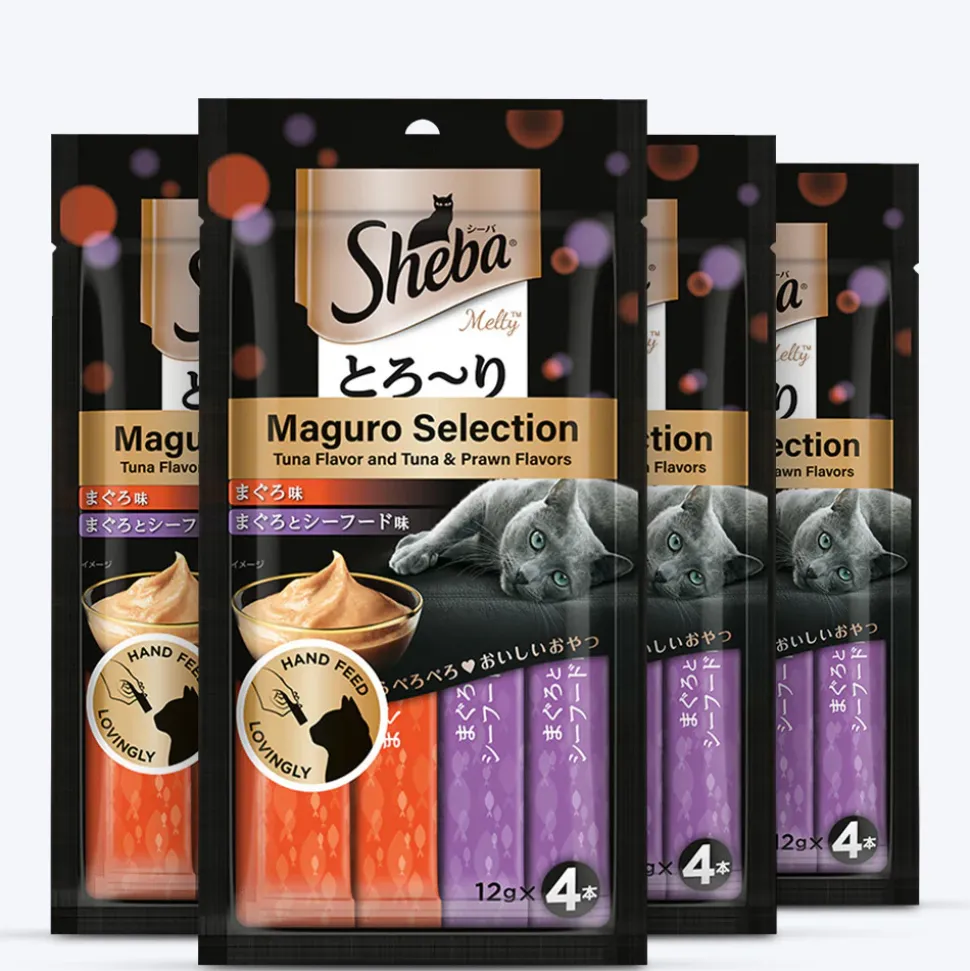 Sheba Melty Premium Maguro Selection Tuna and Tuna & Prawn Flavors Lickable Creamy Cat Treat - 48 gm Packs