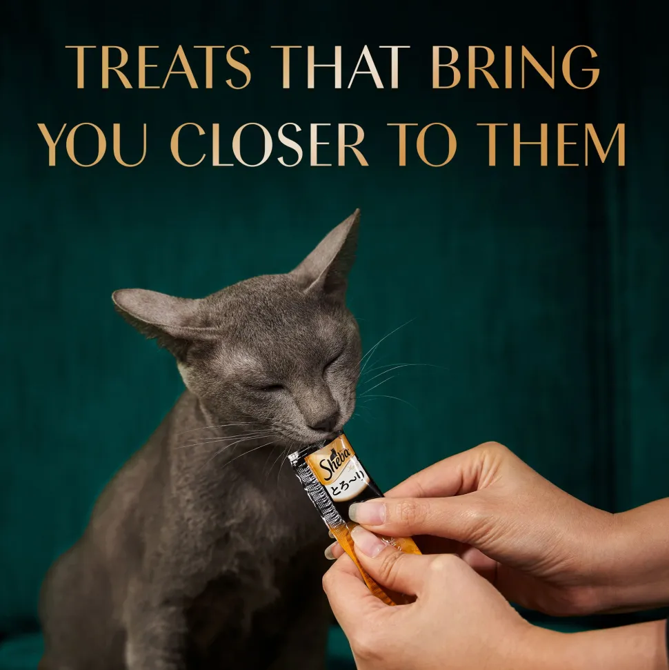Sheba Melty Sasami Selection Chicken & Chicken & Whitefish Flavors Cat Treats - 240 gm (20 x 12gm)