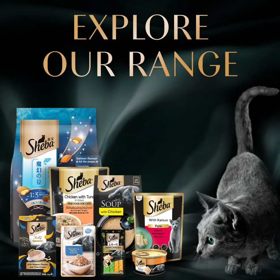Sheba Melty Spoons Maguro Flavour With Tuna Cream Treat For Cat - 40 gm Packs