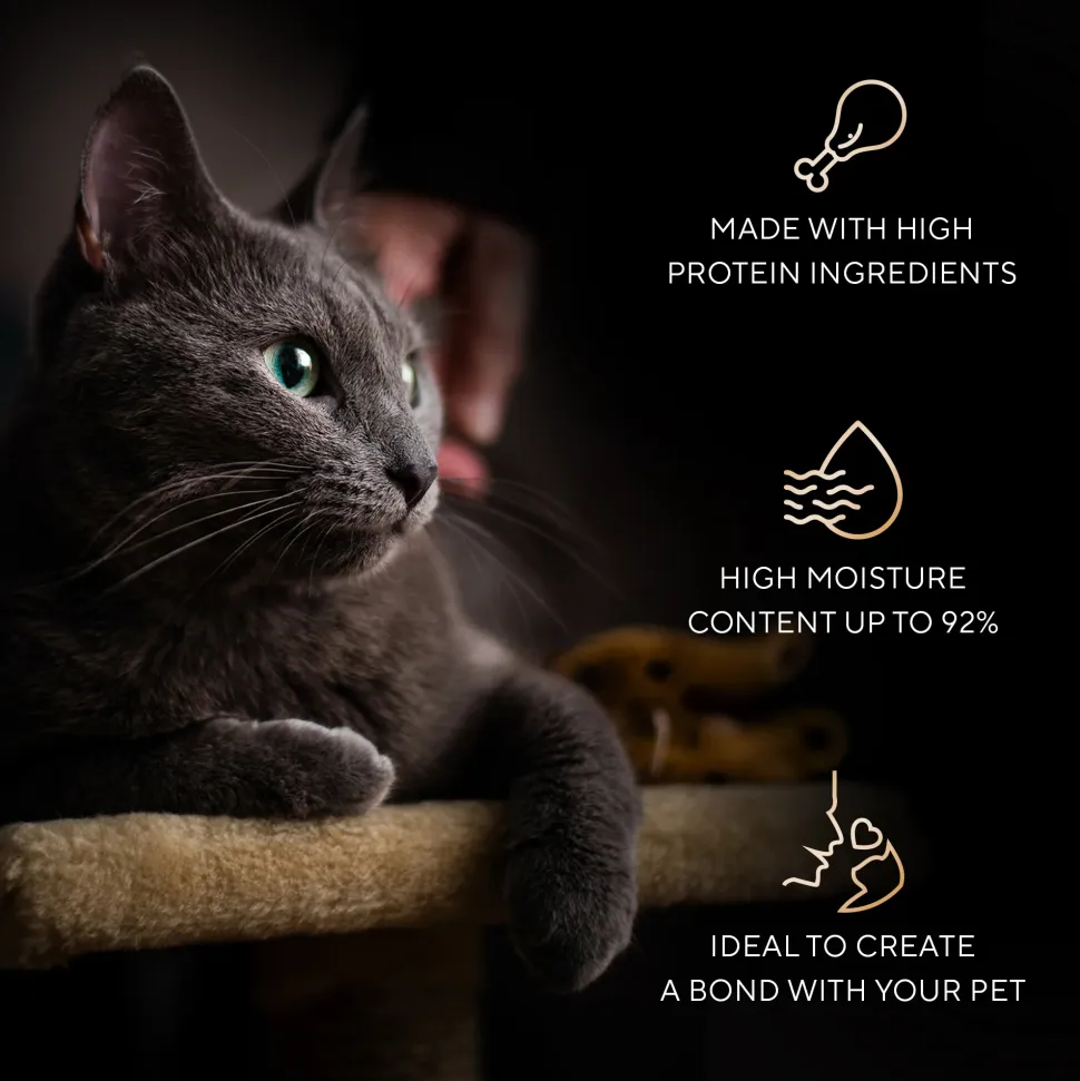 Sheba Melty Spoons Maguro Flavour With Tuna Cream Treat For Cat - 40 gm Packs