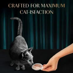Sheba Melty Spoons Maguro Flavour With Tuna Cream Treat For Cat - 40 gm Packs