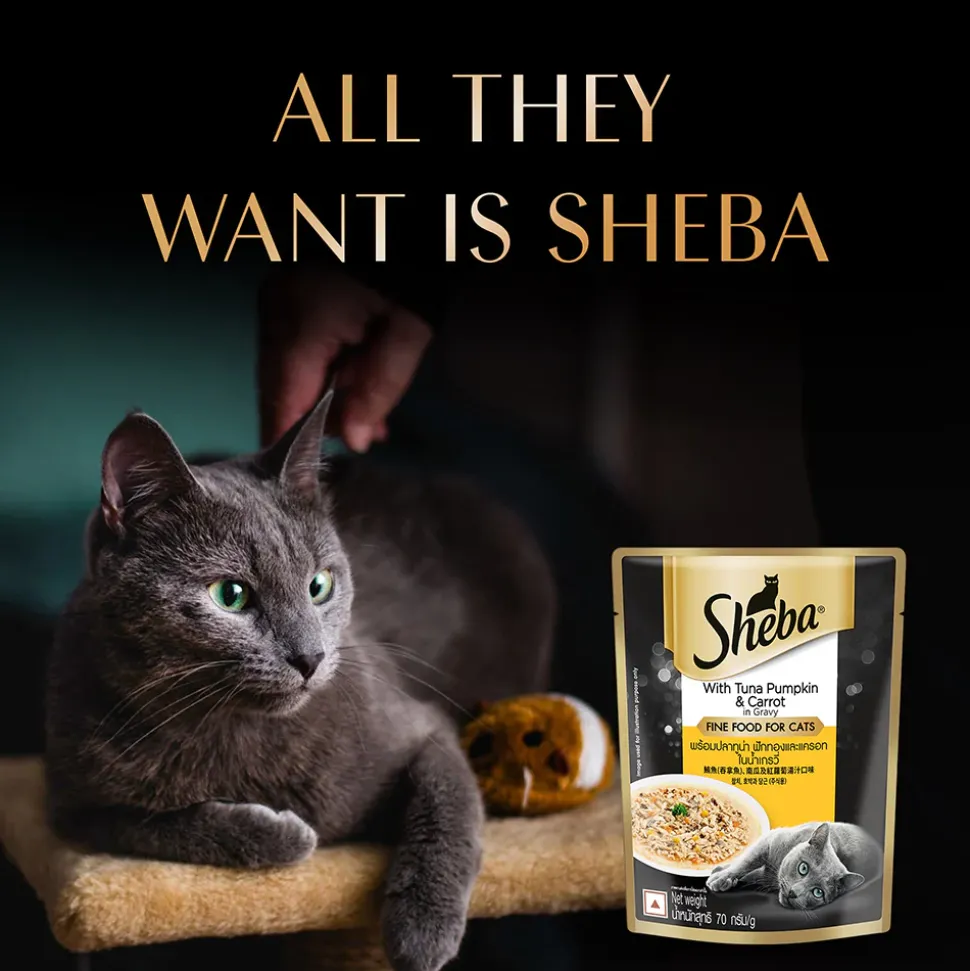 Sheba Rich Premium (1+ Years) Tuna Pumpkin & Carrot In Gravy Adult Wet Cat Food - (28 x 70gm)