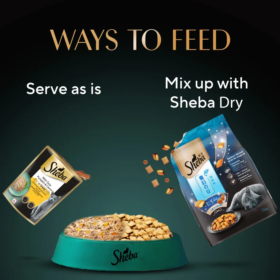 Sheba Rich Premium (1+ Years) Tuna Pumpkin & Carrot In Gravy Adult Wet Cat Food - 70 gm Packs