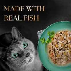 Sheba Rich Premium (1+ Years) Tuna Pumpkin & Carrot In Gravy Adult Wet Cat Food - 70 gm Packs
