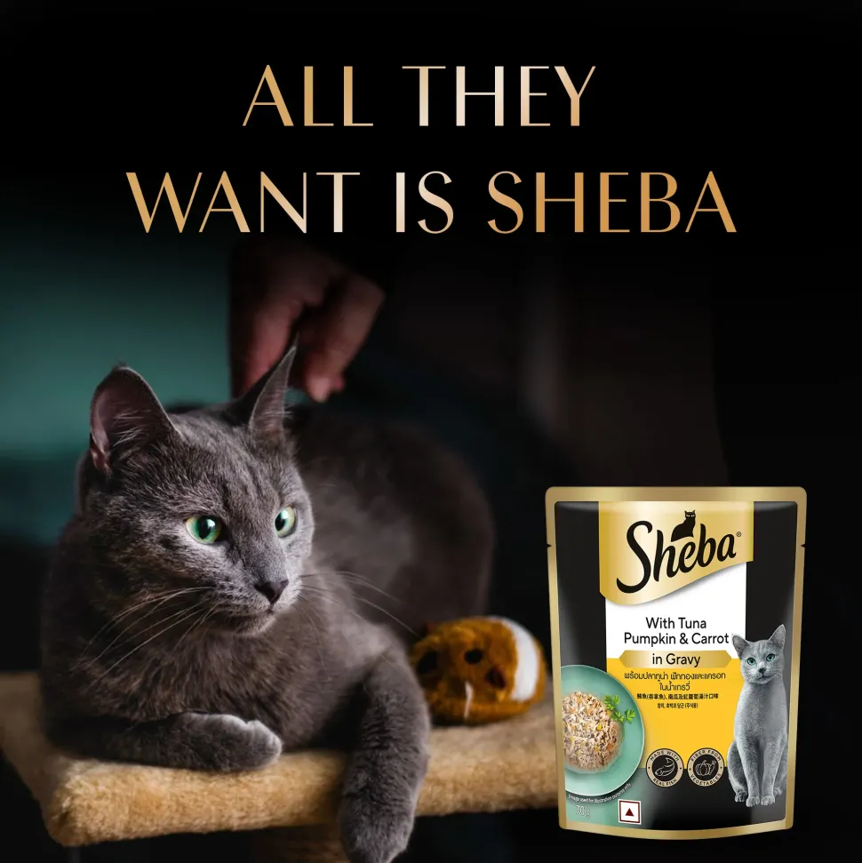 Sheba Rich Premium (1+ Years) Tuna Pumpkin & Carrot In Gravy Adult Wet Cat Food - 70 gm Packs