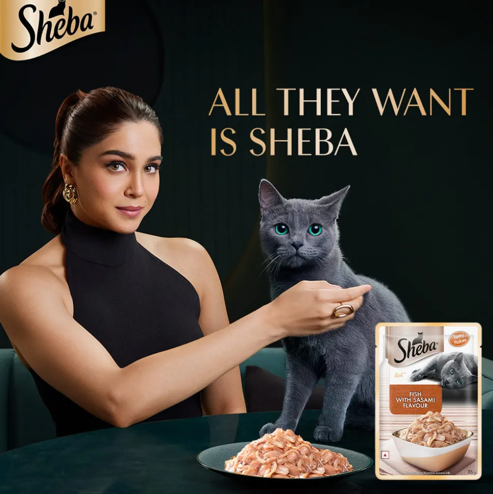 Sheba Rich Premium Adult (1+ Years) Fish with Sasami Flavour Wet Cat Food - (12 x 35gm)