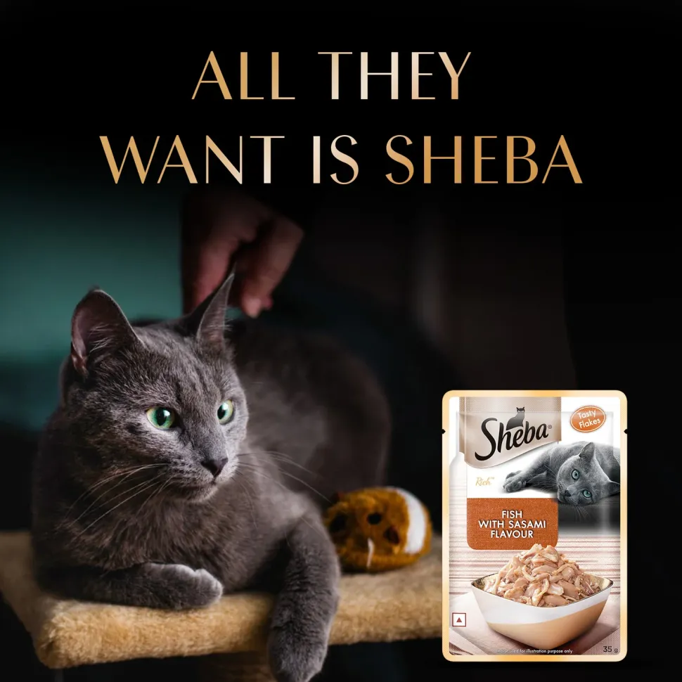 Sheba Rich Premium Adult (1+ Years) Fish with Sasami Flavour Wet Cat Food - 35 gm Packs