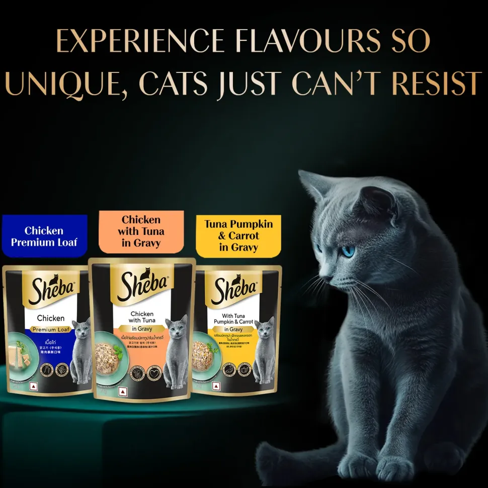 Sheba Rich Premium Chicken With Tuna In Gravy Adult Wet Cat Food - 70 gm Packs