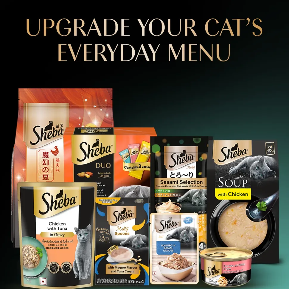 Sheba Rich Premium Chicken With Tuna In Gravy Adult Wet Cat Food - 70 gm Packs