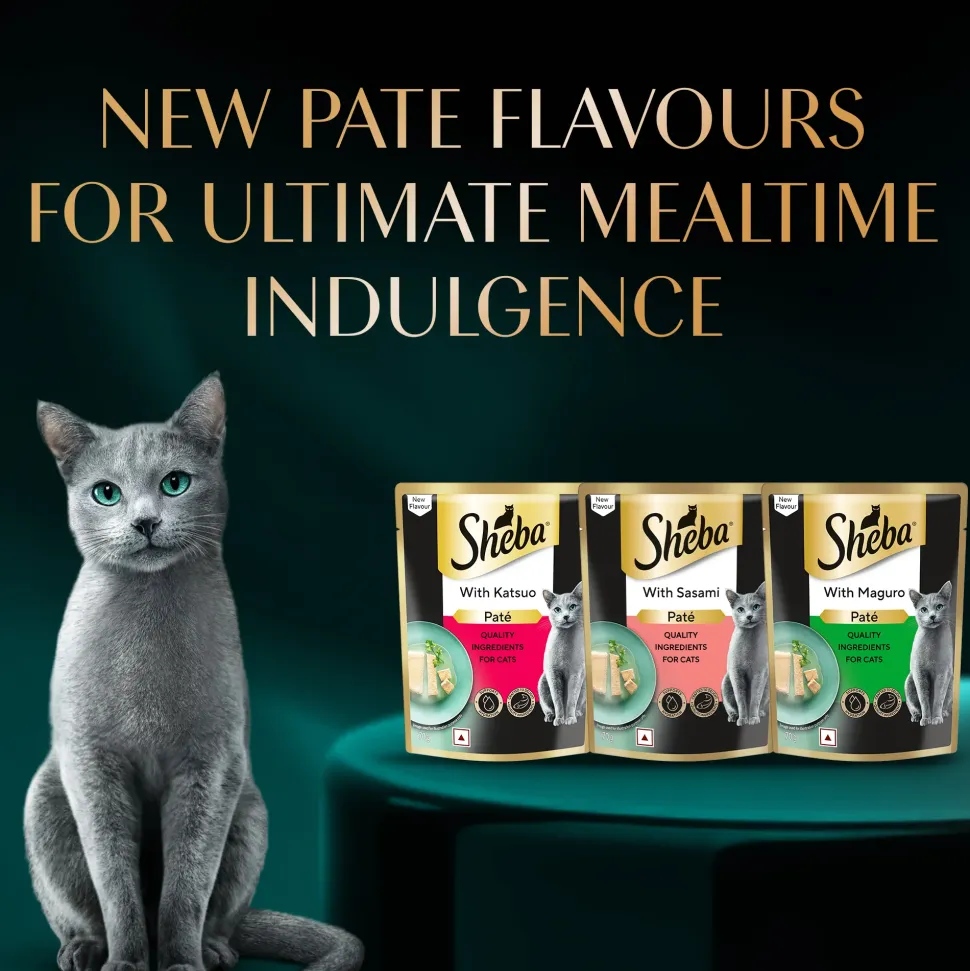Sheba Sasami Pate Wet Food For Adult Cat - 70 gm