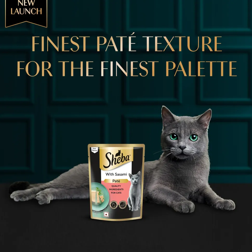 Sheba Sasami Pate Wet Food For Adult Cat - 70 gm
