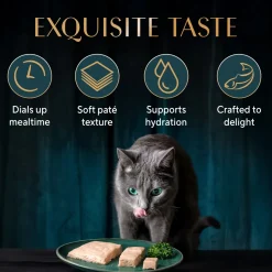 Sheba Sasami Pate Wet Food For Adult Cat - 70 gm