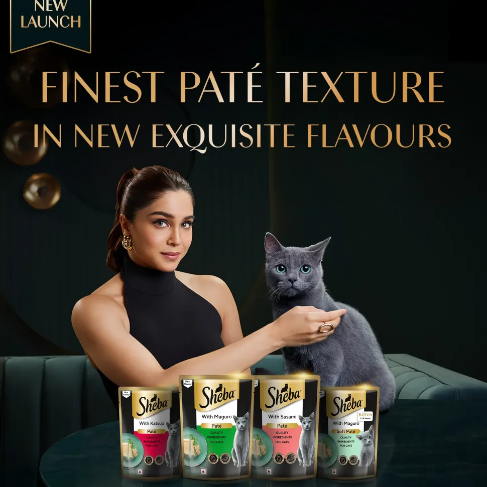 Sheba Sasami Pate Wet Food For Adult Cat - 70 gm