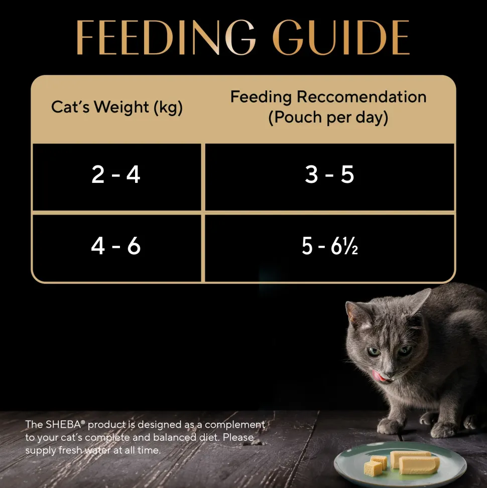 Sheba Sasami Pate Wet Food For Adult Cat - 70 gm