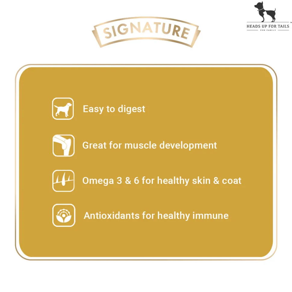 Signature Grain Zero Adult Dry Dog Food