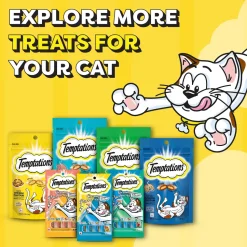 Temptations Creamy Purrrr-ee Lickable Cat Treat, Salmon & Cheese Flavour - 48g (4 pieces)