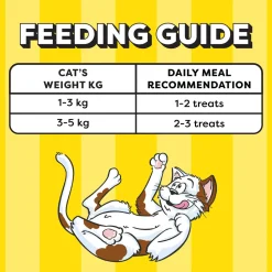 Temptations Creamy Purrrr-ee Lickable Cat Treats, Chicken & Tuna Flavour - 48 g (4 pieces)