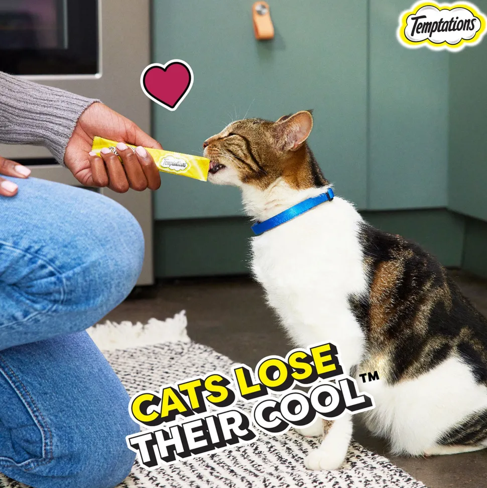 Temptations Creamy Purrrr-ee Lickable Cat Treats, Chicken & Tuna Flavour - 48 g (4 pieces)