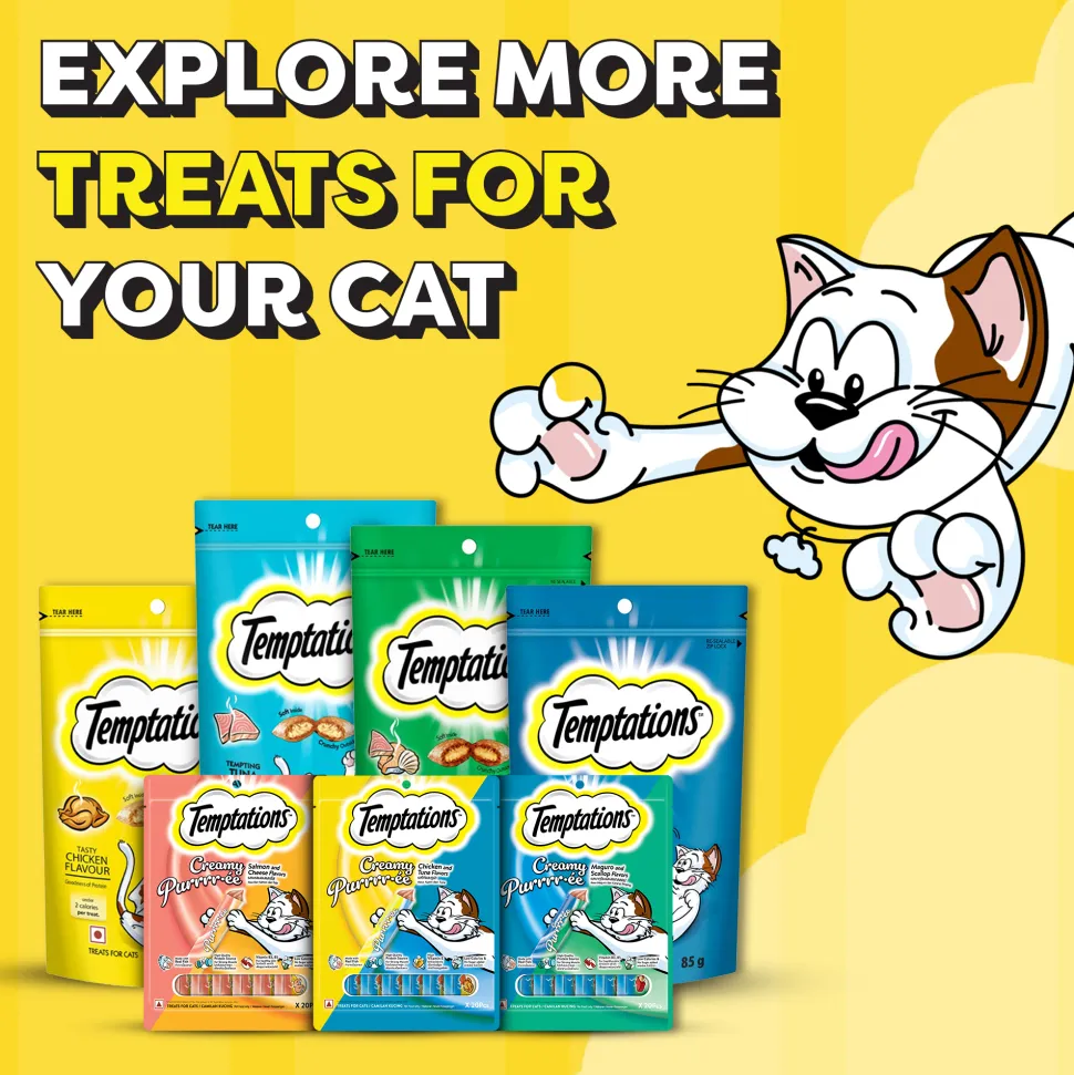 Temptations Creamy Purrrr-ee Salmon & Cheese Flavors Cat Treats - 240 gm (20 x 12gm)
