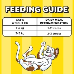 Temptations Creamy Purrrr-ee Chicken & Tuna Flavors Cat Treats - 240 gm (20 x 12gm)