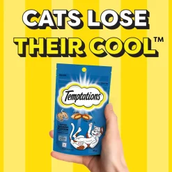 Temptations Crunchy Cat Treats, Savoury Salmon Flavour - 85g