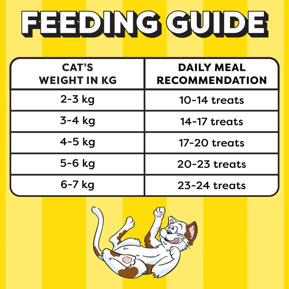 Temptations Crunchy Cat Treat Tasty Chicken Flavour - 85 g