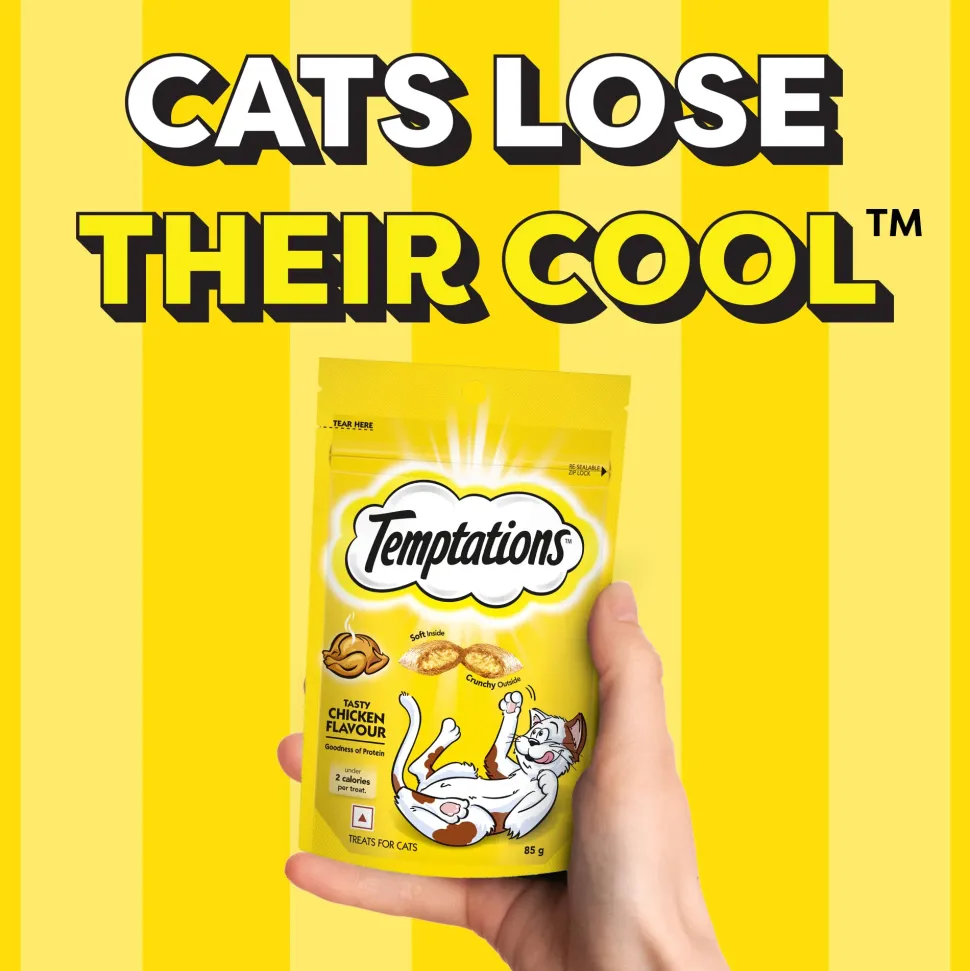 Temptations Crunchy Cat Treat Tasty Chicken Flavour - 85 g