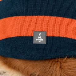 TLC Pumpkin Patch Sweater For Dog - Orange & Navy Blue