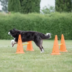 Trixie Dog Agility Obstacles - Pylon and Poles