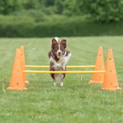 Trixie Dog Agility Obstacles - Pylon and Poles