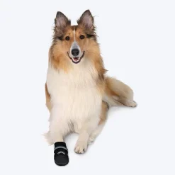 Trixie Walker Care Comfort - Protective Boots for Dogs - 1 Pair ( 2 Boots Covers 2 Paws Only)