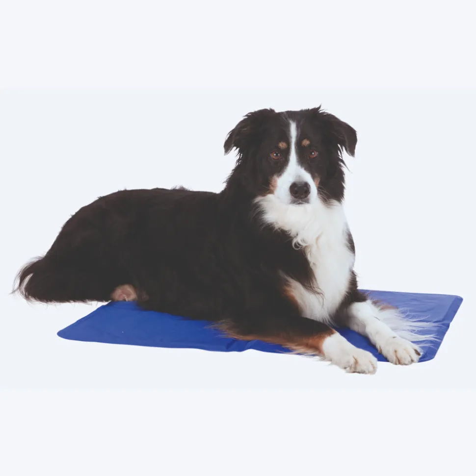 Trixie Cooling Mat For Dogs - Blue
