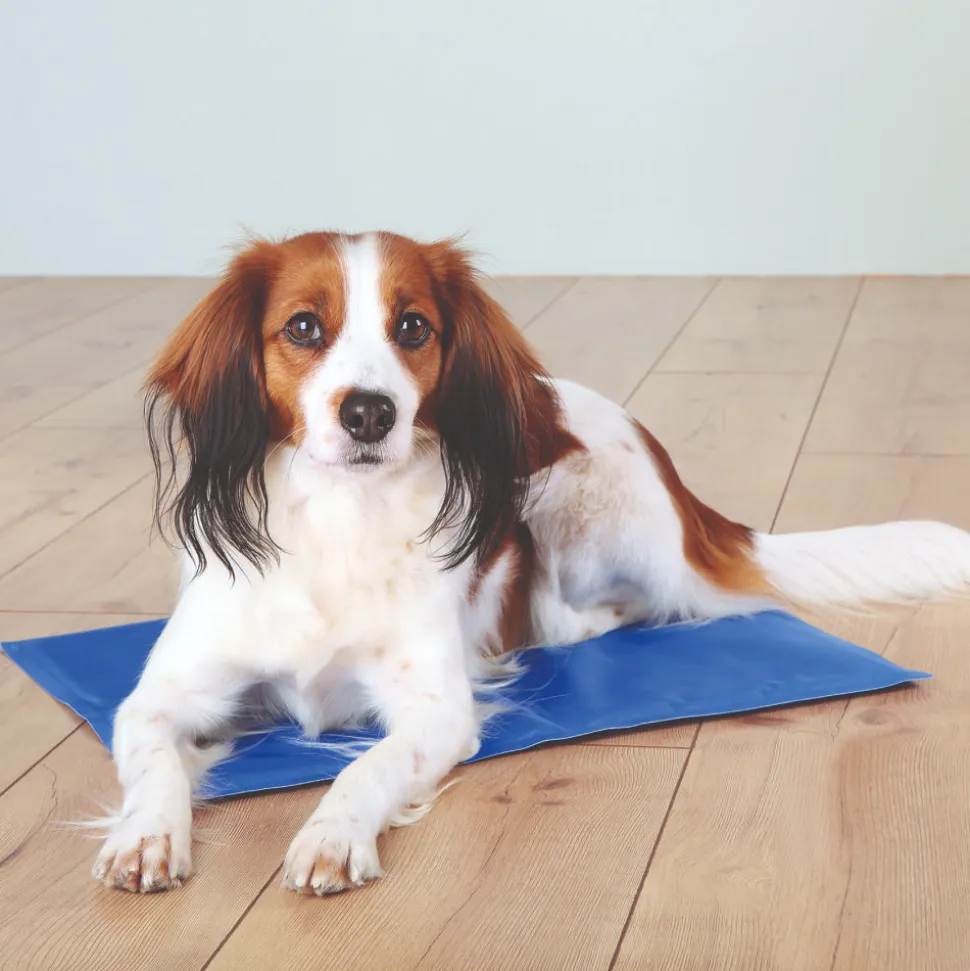 Trixie Cooling Mat For Dogs - Blue