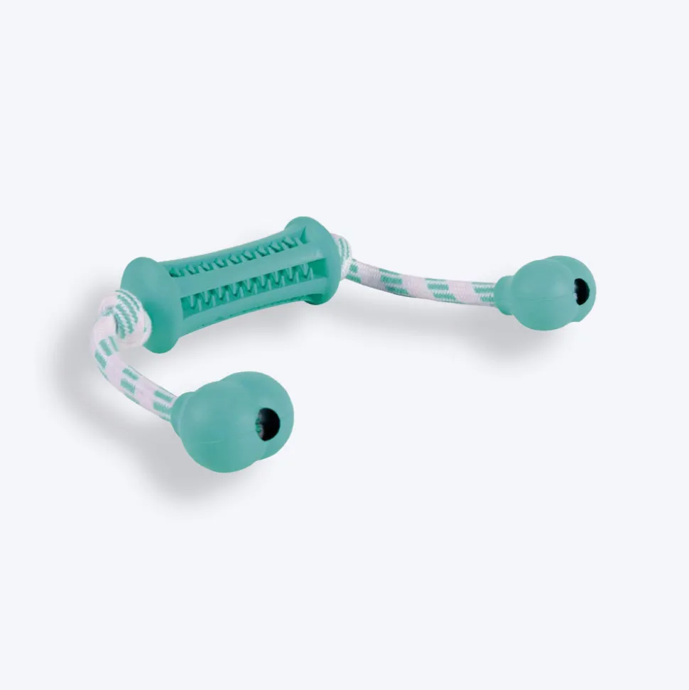 Trixie Denta Fun Stick With Rope Chew Toy For Dogs - Mint Green