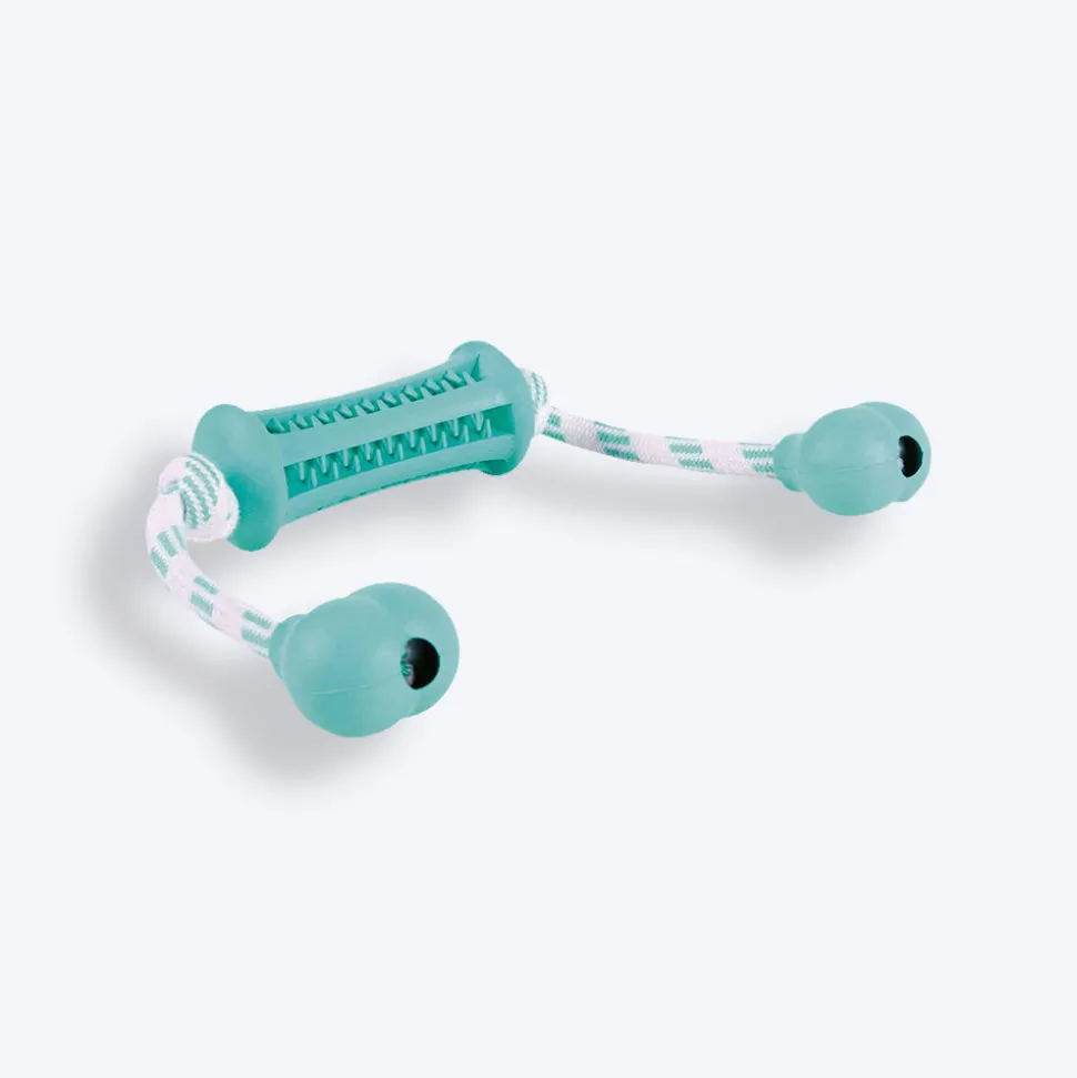 Trixie Denta Fun Stick With Rope Chew Toy For Dogs - Mint Green