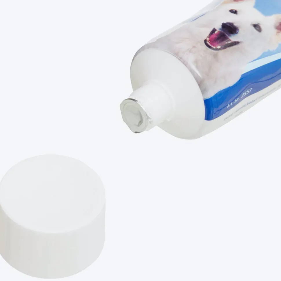 Trixie Dog Toothpaste with Mint - 100 g