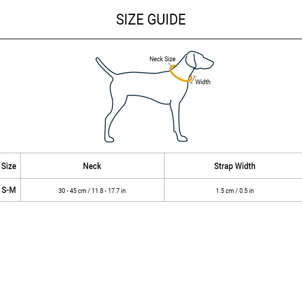 Trixie Premium Collar for Dog -S-M - Green Apple
