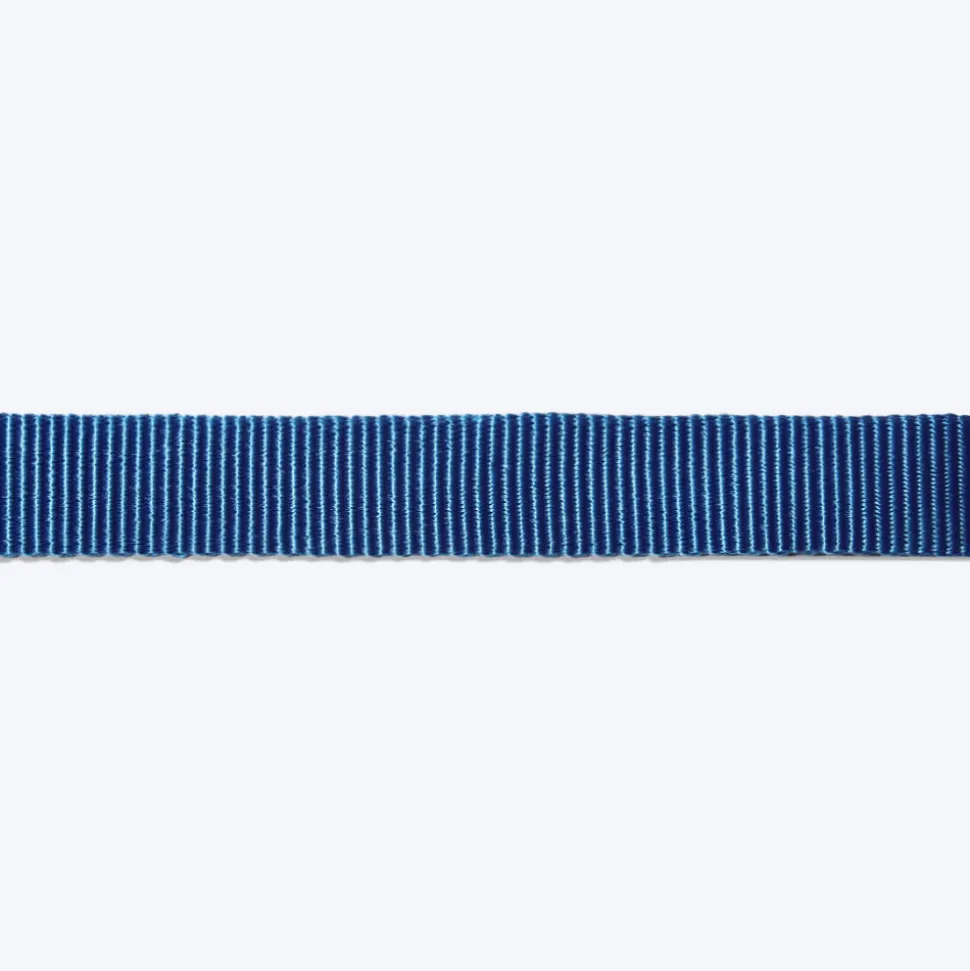 Trixie Premium Dog H-Harness - Royal Blue