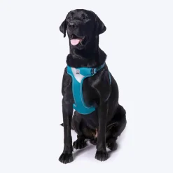 Truelove Step-In Harness For Dog With 3M Reflective Fabric - Blue