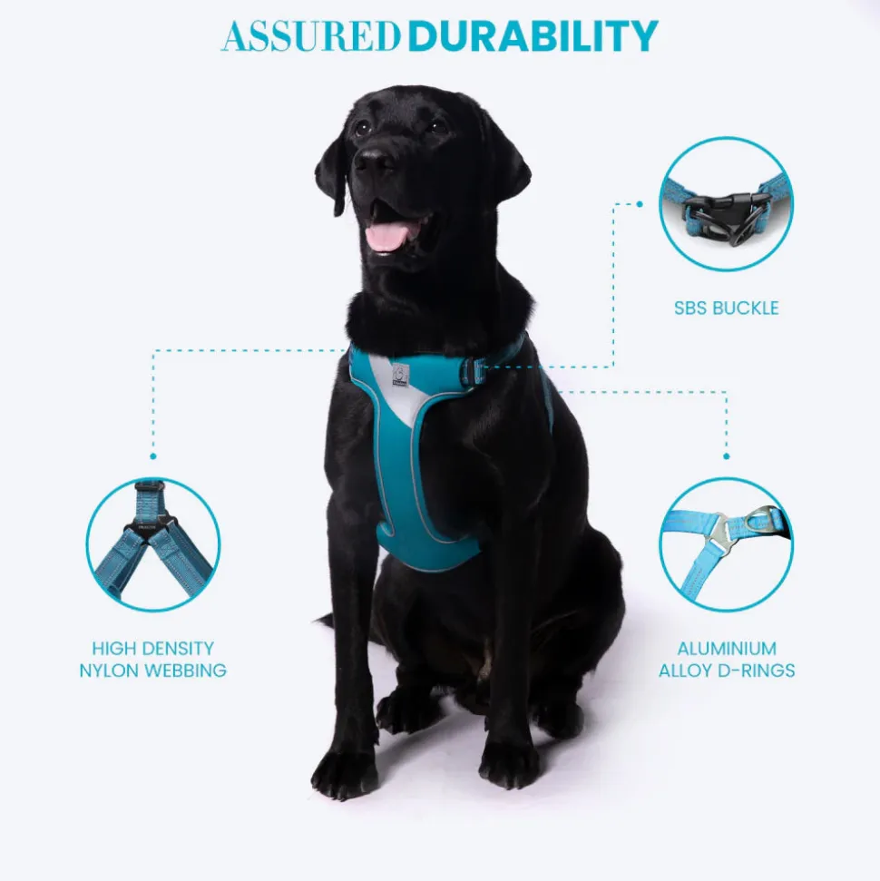 Truelove Step-In Harness For Dog With 3M Reflective Fabric - Blue