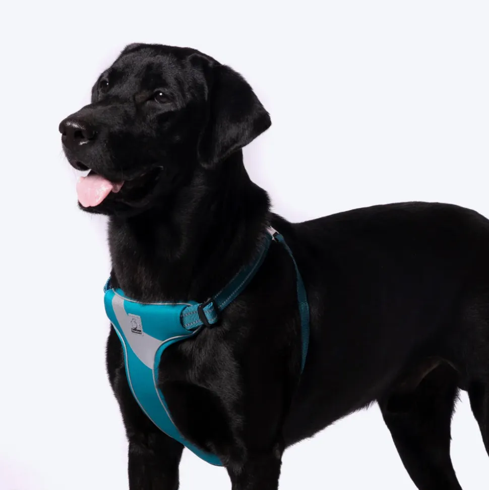 Truelove Step-In Harness For Dog With 3M Reflective Fabric - Blue