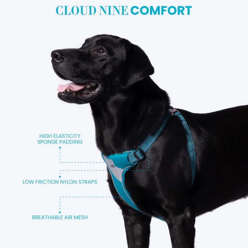 Truelove Step-In Harness For Dog With 3M Reflective Fabric - Blue