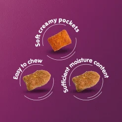 Whiskas Adult (1+ Years) Chicken Flavour Dry Food For Adult Cat