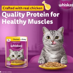 Whiskas Adult (1+ Years) Chicken in Gravy Wet Cat Food - 80 gm Pack