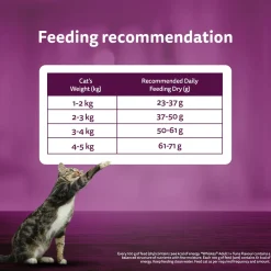 Whiskas Adult (1+ Years) Mackerel Flavour Dry Cat Food
