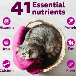 Whiskas Adult (1+ Years) Ocean Fish Flavour Dry Cat Food