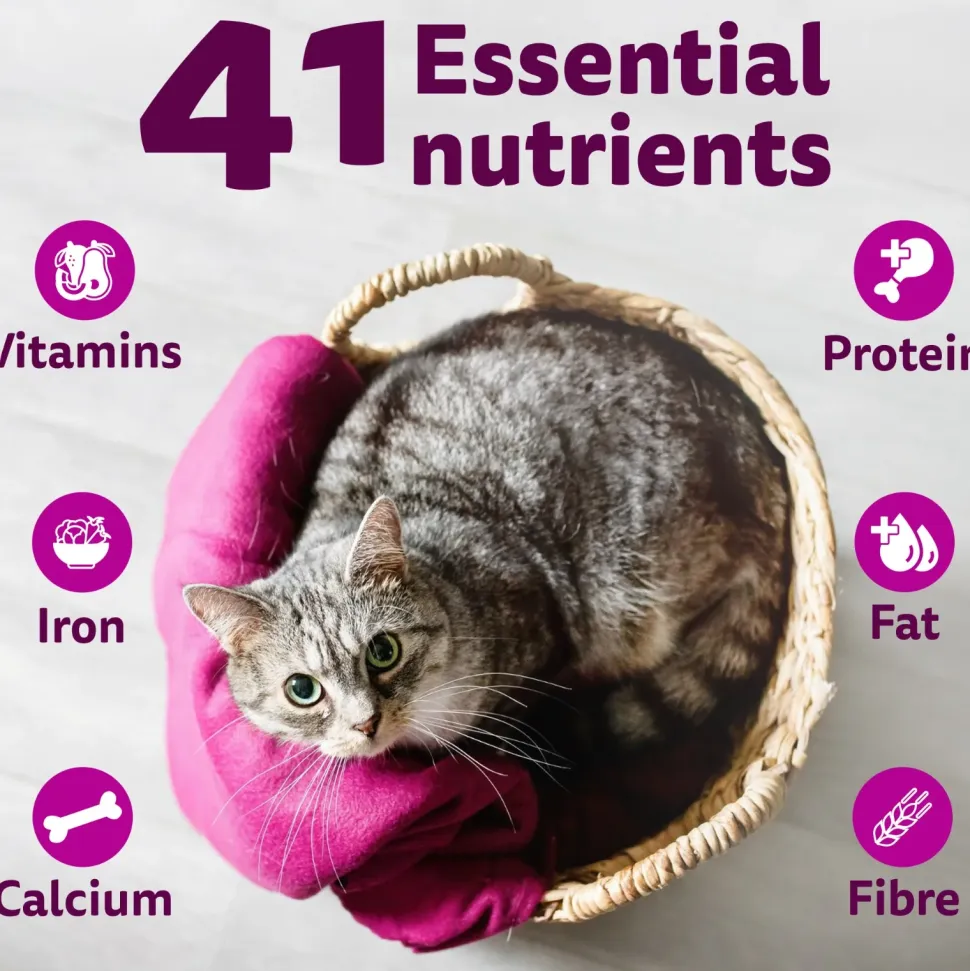 Whiskas Adult (1+ Years) Ocean Fish Flavour Dry Cat Food