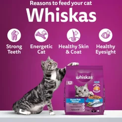 Whiskas Adult (1+ Years) Ocean Fish Flavour Dry Cat Food