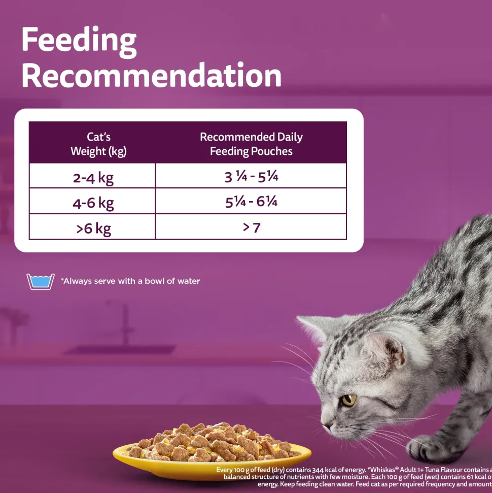 Whiskas Adult (1+ Years) Salmon in Gravy Wet Cat Food - 80 gm Pack