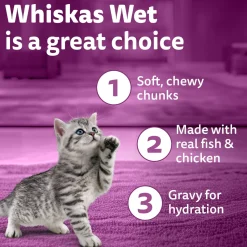 Whiskas Chicken With Salmon In Jelly Wet Food For Junior (2-12 Months) Kitten - 80 gm Pack